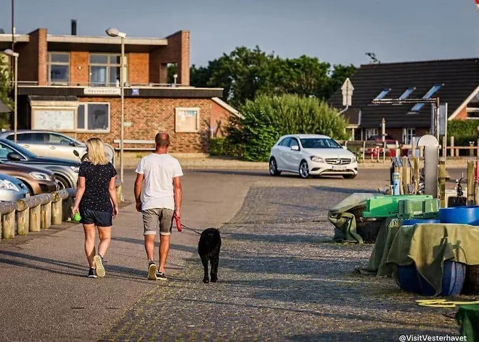 度假居 C11564-hemmet-husfold-39